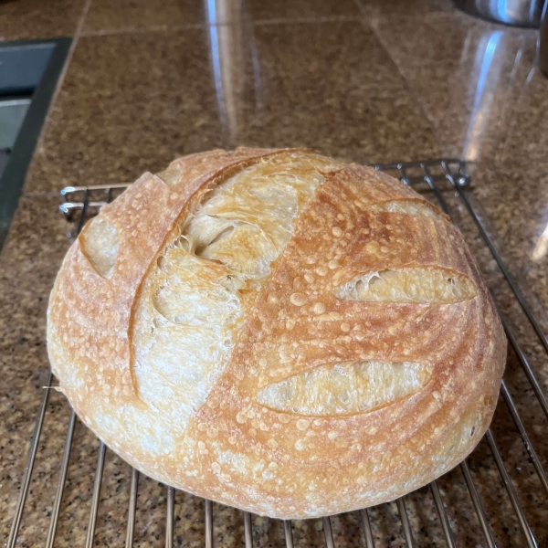 Chef John's Sourdough Bread