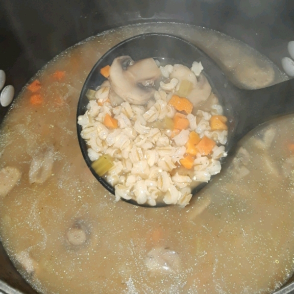 Dilled Vegetable Barley Soup