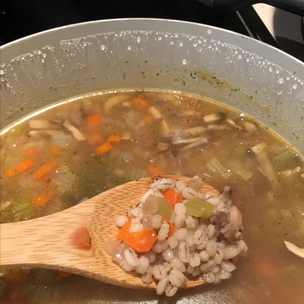 Dilled Vegetable Barley Soup