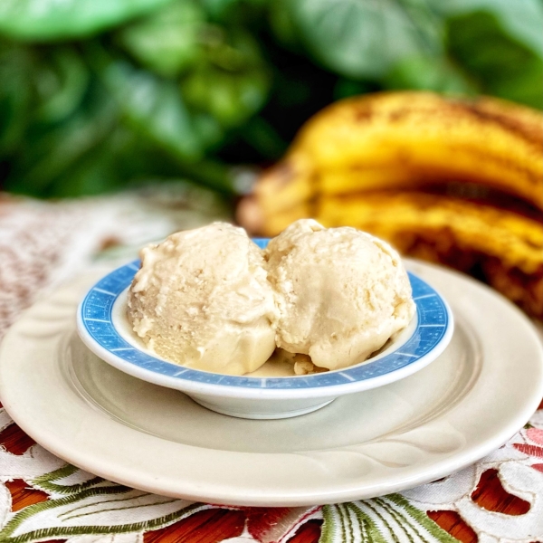 Ninja Creami Banana Ice Cream