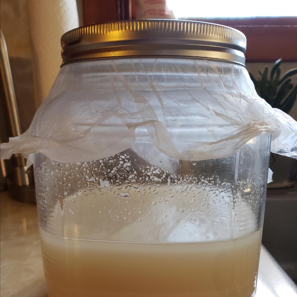 Sourdough Starter I