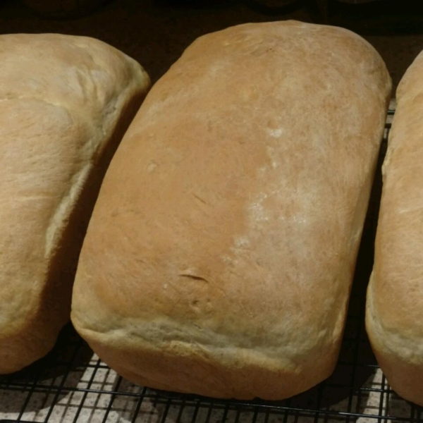 Fresh Yeast Bread