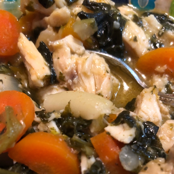 Instant Pot® Coconut Cream Chicken Noodle Soup