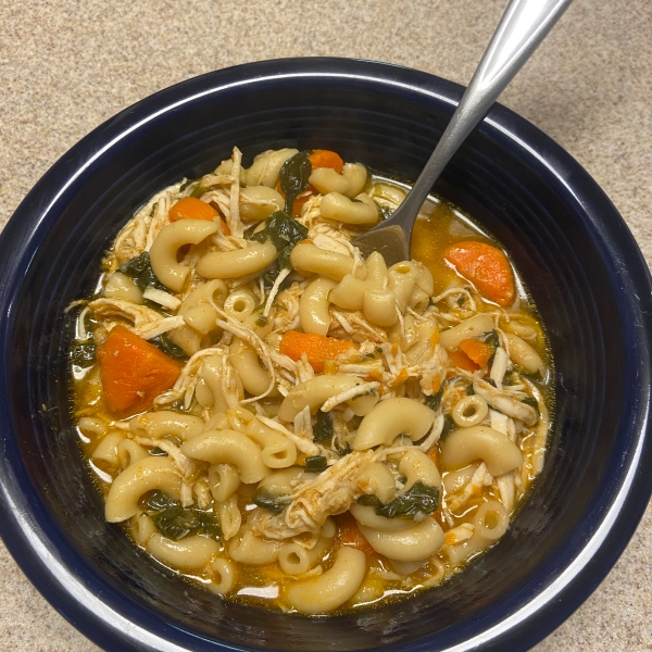 Instant Pot® Coconut Cream Chicken Noodle Soup