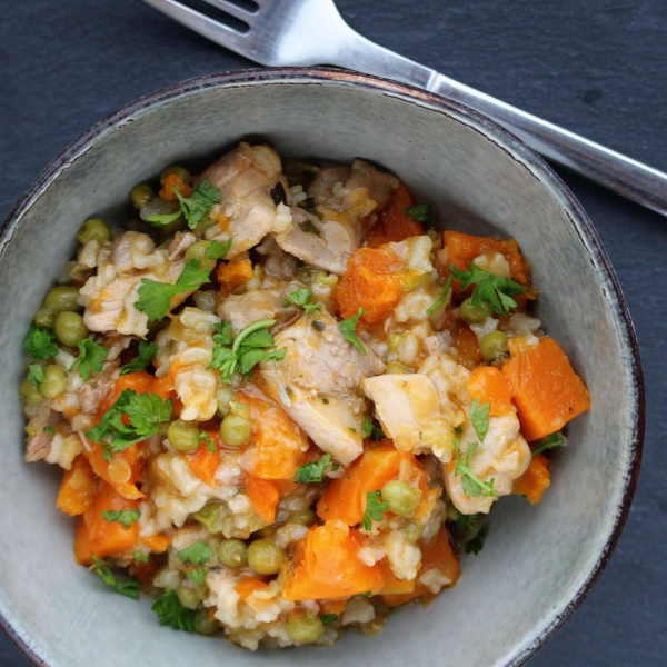 Chicken Stew with Rice and Winter Squash