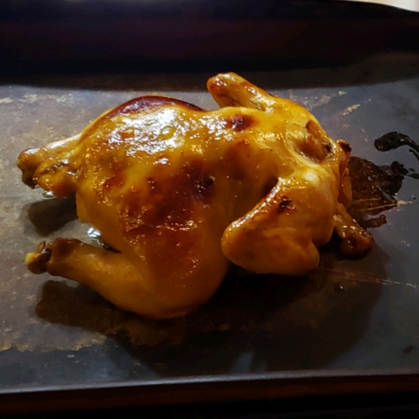 Honey Orange Cornish Hens