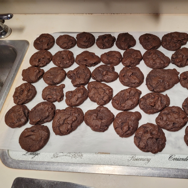 Chocolate Chocolate Chip Cookies