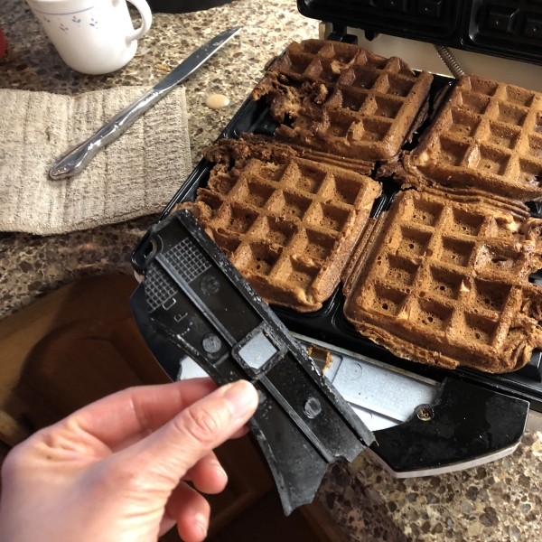 Carol's Cinnamon Waffles