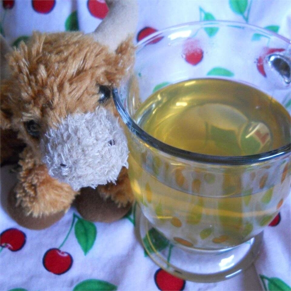 Teddy Bear Juice
