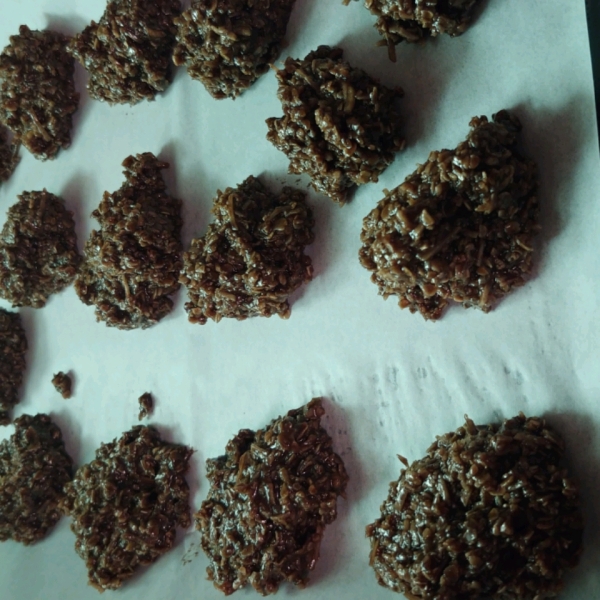 Oatmeal Chocolate Coconut Macaroons