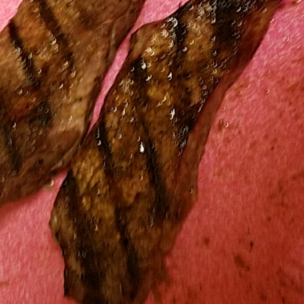 Jamaican Jerk Dry Rub
