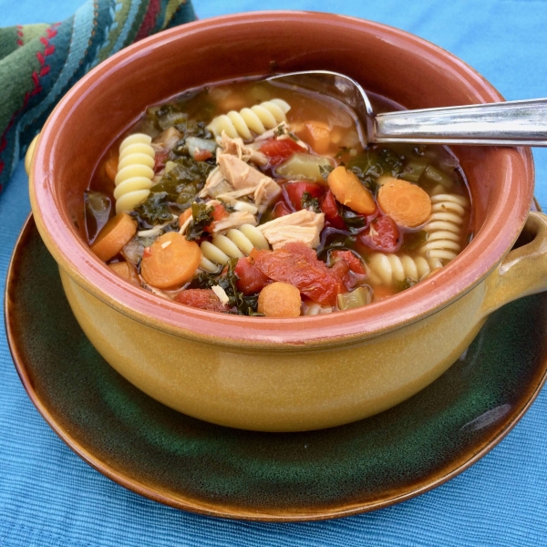 Instant Pot® Turkey Soup with Pasta and Vegetables
