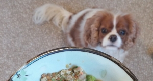 Grain-Free Homemade Dog Food