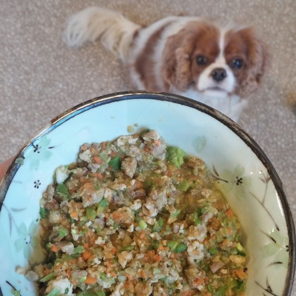 Grain-Free Homemade Dog Food