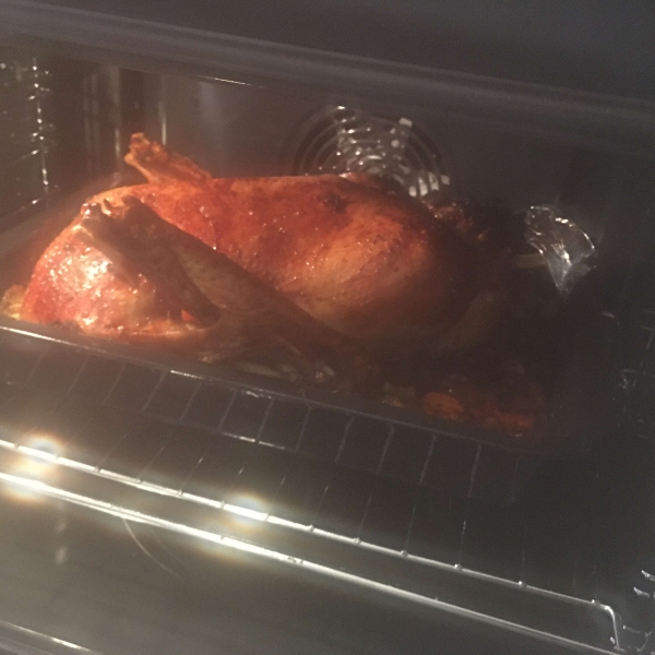 Roast Goose with Stuffing