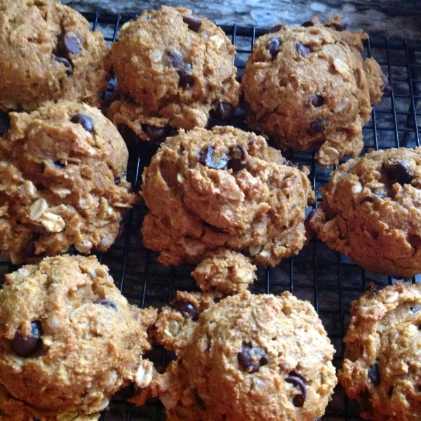 Healthy Vegan Pumpkin Oat Chocolate Chip Cookies