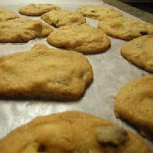 Double Chocolate Chip Macadamia Cookies