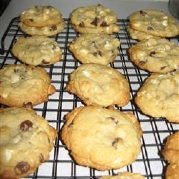 Double Chocolate Chip Macadamia Cookies