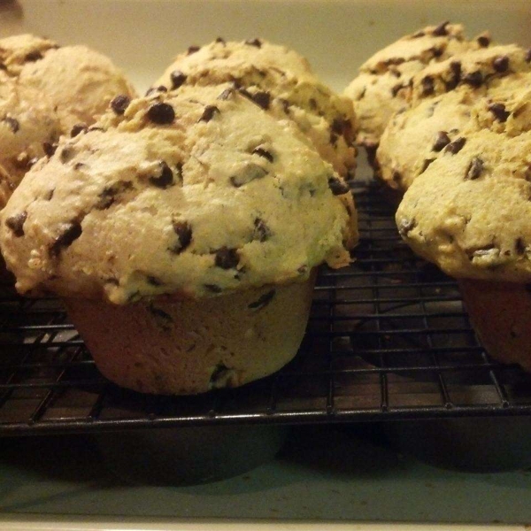 Pumpkin Gut Chocolate Chip Muffins