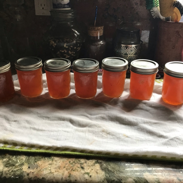 Homemade Apricot Jam