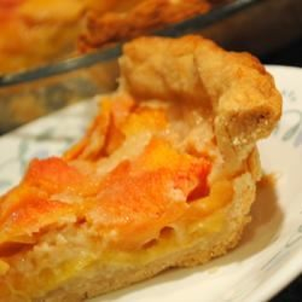 Vinegar and Egg Crust