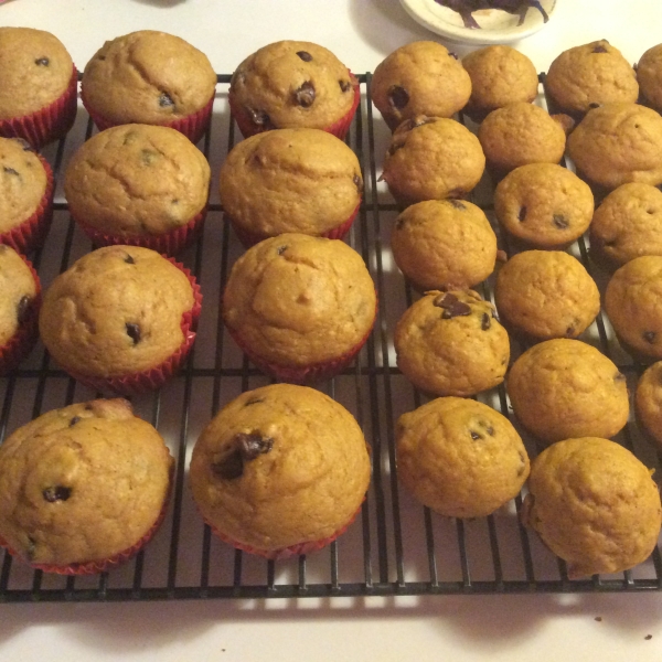 Pumpkin Chip Muffins