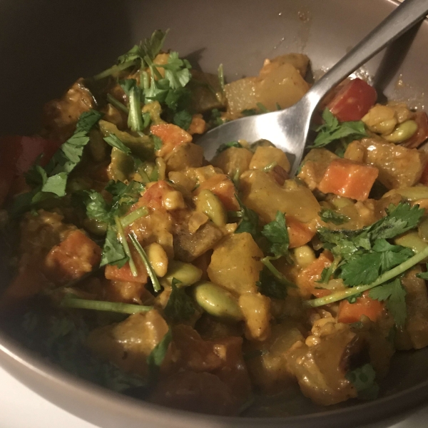 Vegetarian Korma