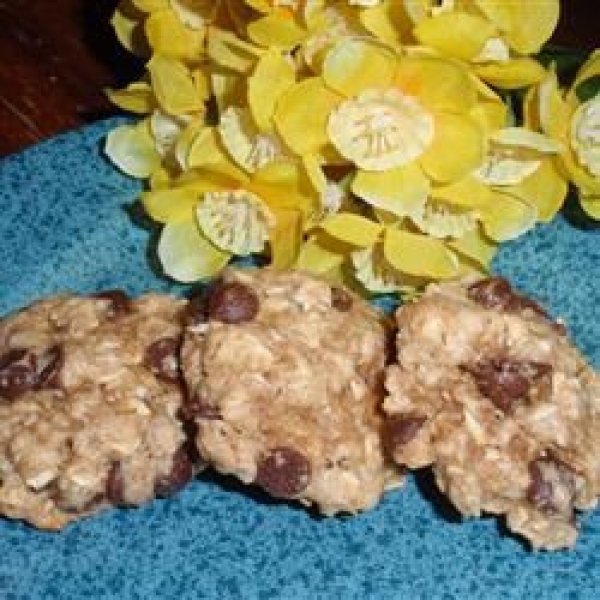 Chocolate Oatmeal Hermits