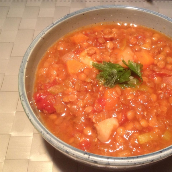 Hearty Lentil Soup II