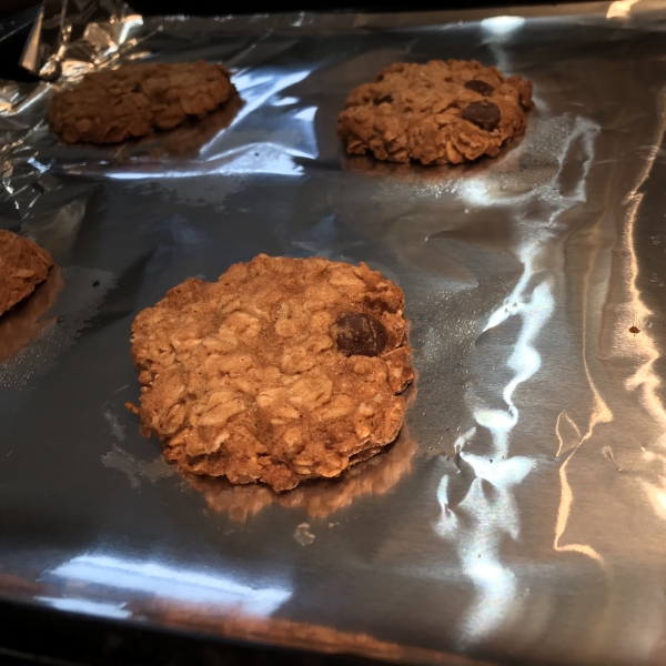 Devouring Oatmeal Chocolate Chip Cookies