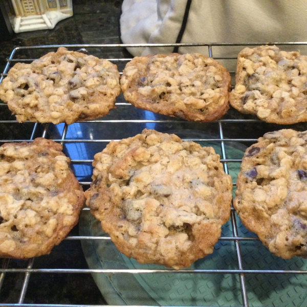 Devouring Oatmeal Chocolate Chip Cookies