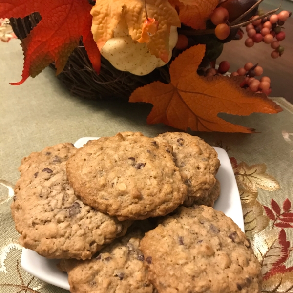 Devouring Oatmeal Chocolate Chip Cookies