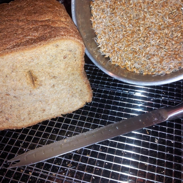 Essene Bread for the Bread Machine