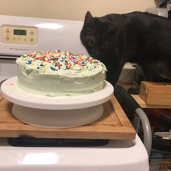 Pistachio Cake with Frosting