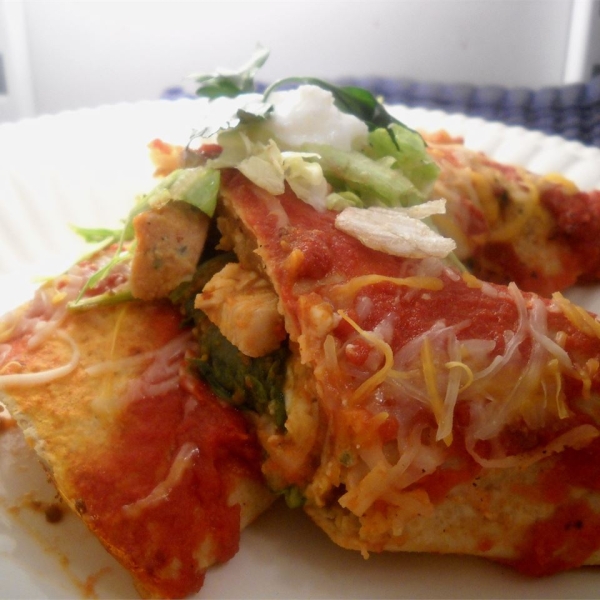 Turkey Pumpkin Enchiladas