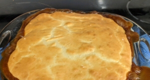 Beef Pot Pie II