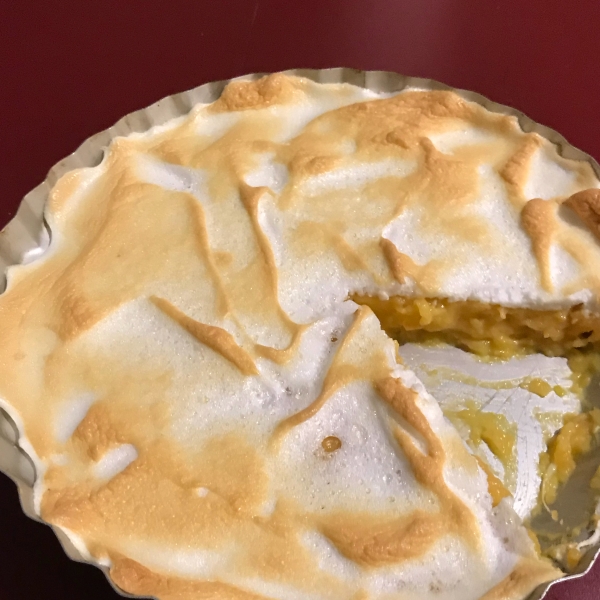 Cantaloupe Pie I