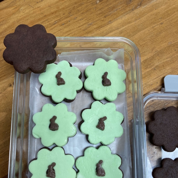 Best Ever Chocolate Cutout Cookies