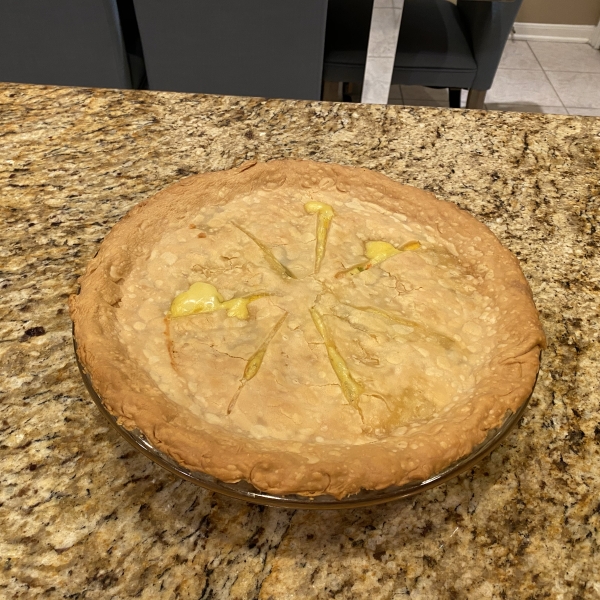 Chicken or Turkey Pot Pie