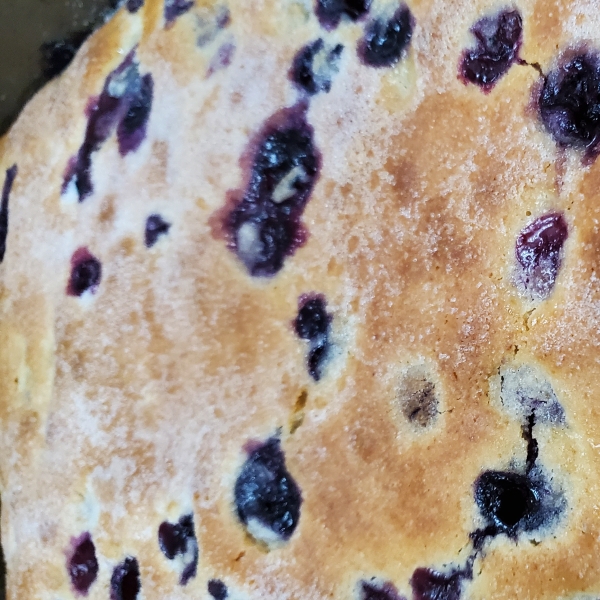 Alice's Easy Blueberry Cake