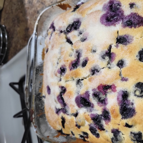 Alice's Easy Blueberry Cake