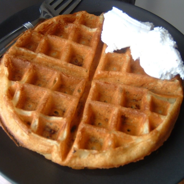 Kate's Light n' Fluffy Buttermilk and Chocolate Chip Waffles