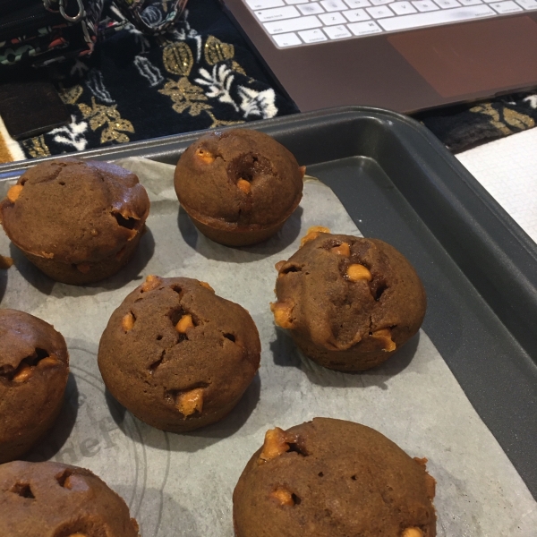 Pumpkin Spice Coffee Muffins