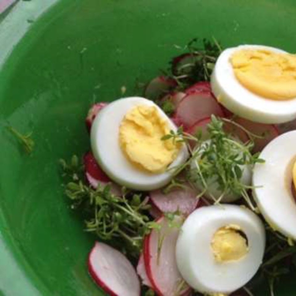 Spring Radish Salad with Egg and Garden Cress