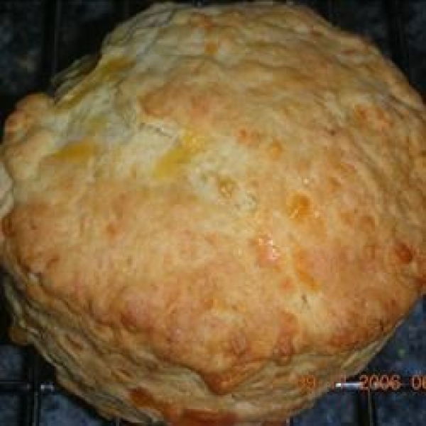 Cheddar Cheese Scones