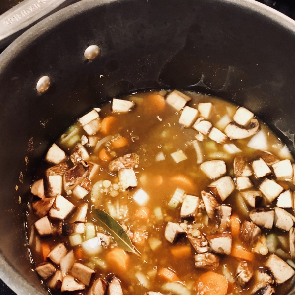 Spicy Vegan Lentil Quinoa Soup