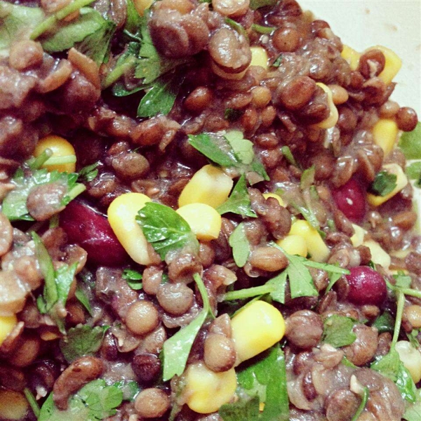 Cheap and Easy Lentil Salad