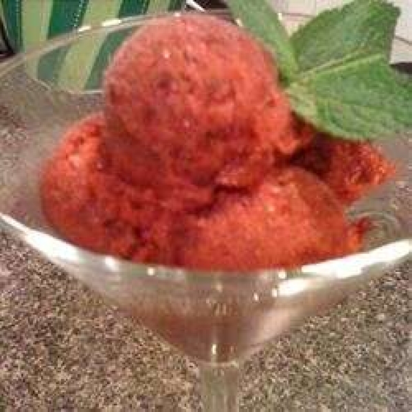 Sour Cherry Sorbet