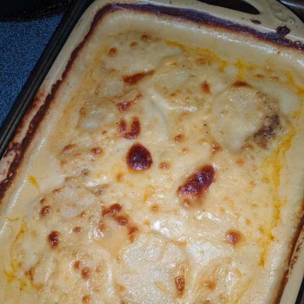 Creamy au Gratin Potatoes