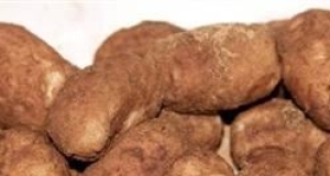 Potato Candy